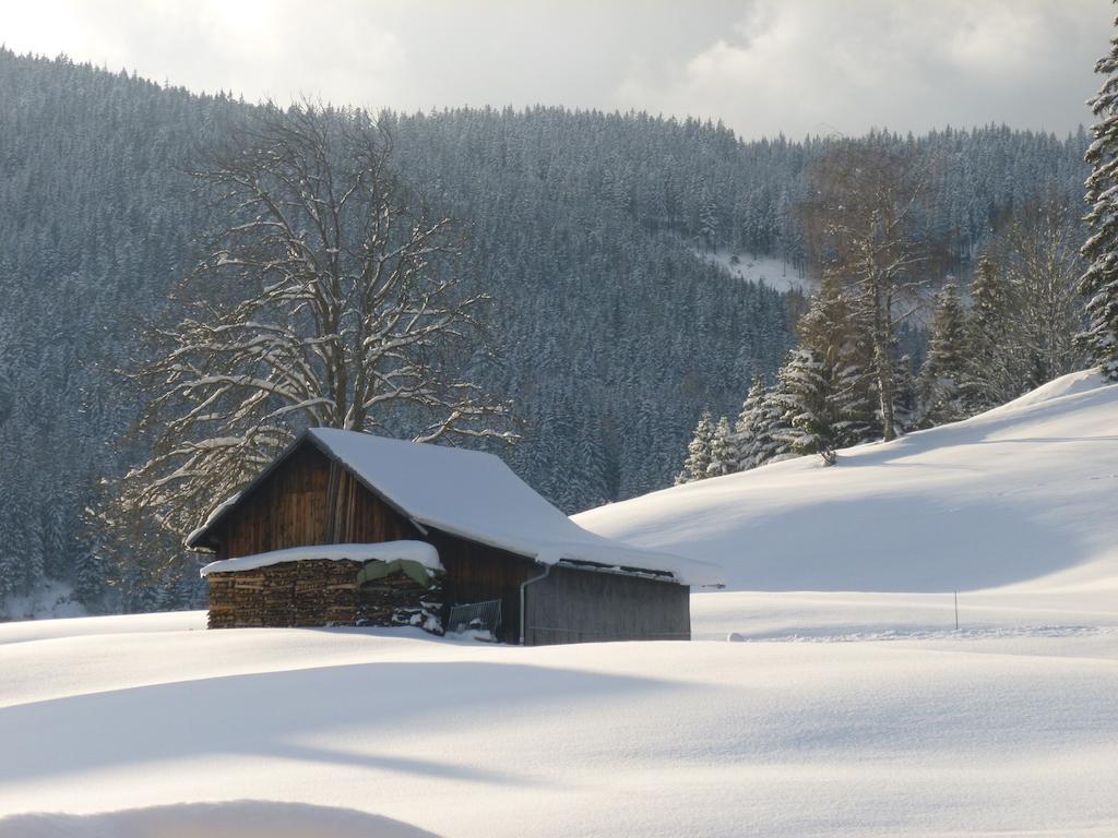 Ferienwohnung Bergblick Filzmoos Zimmer foto
